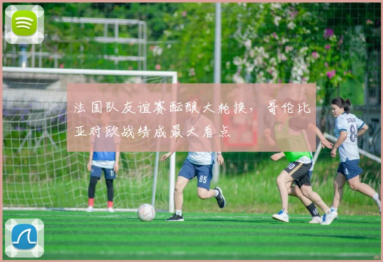 法国队友谊赛酝酿大轮换，哥伦比亚对欧战绩成最大看点